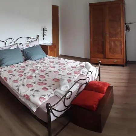 Vidin Raj